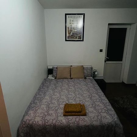 Appartamento Amazing 1 bed Flat Craiova Esterno foto