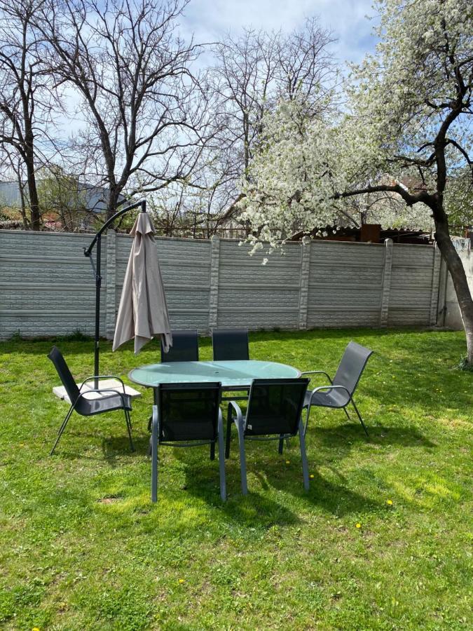 Appartamento Amazing 1 bed Flat Craiova Esterno foto